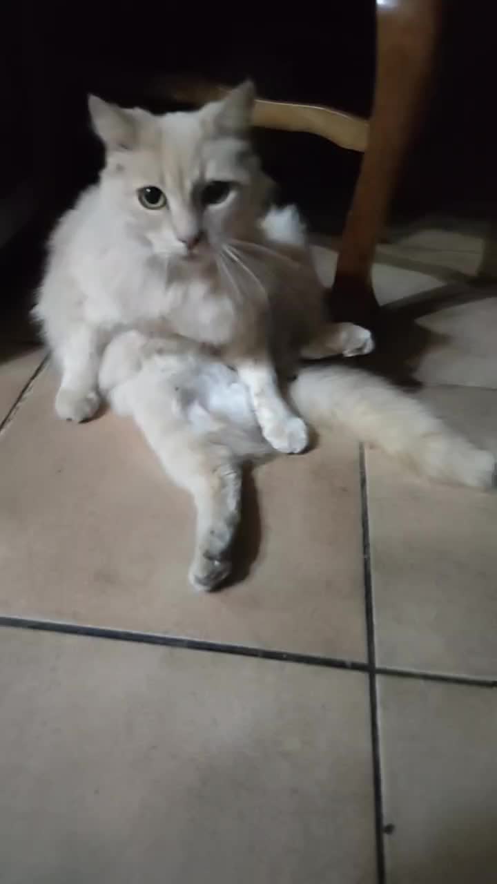 @Ana María 🐱
