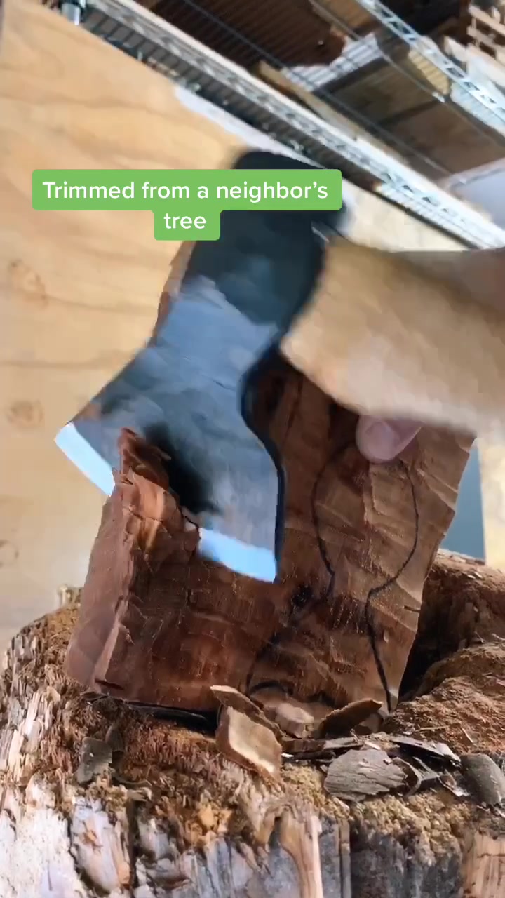 @Arbor Novo