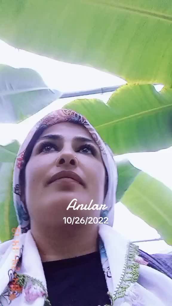 @yeterkoseoglu