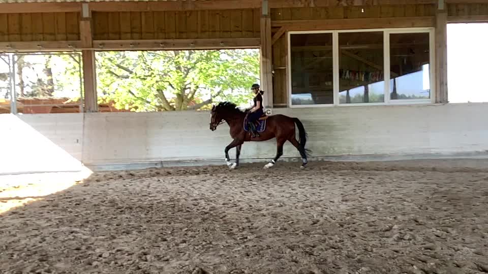 @My.soulhorse❤️🥺✌🏻
