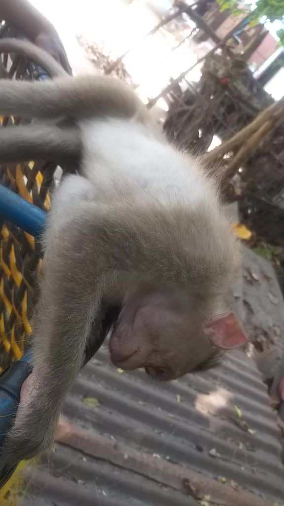 @Jaya Murugan