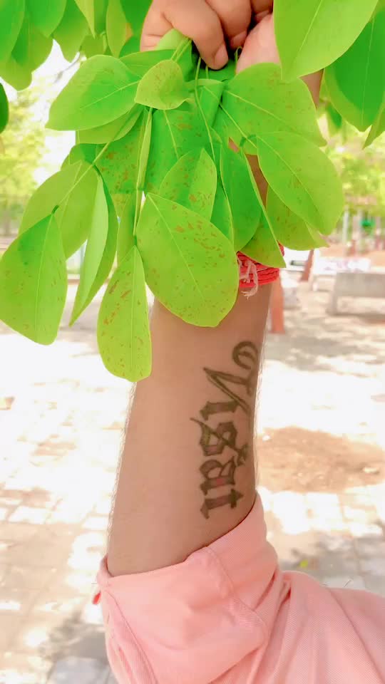 @user99100296160