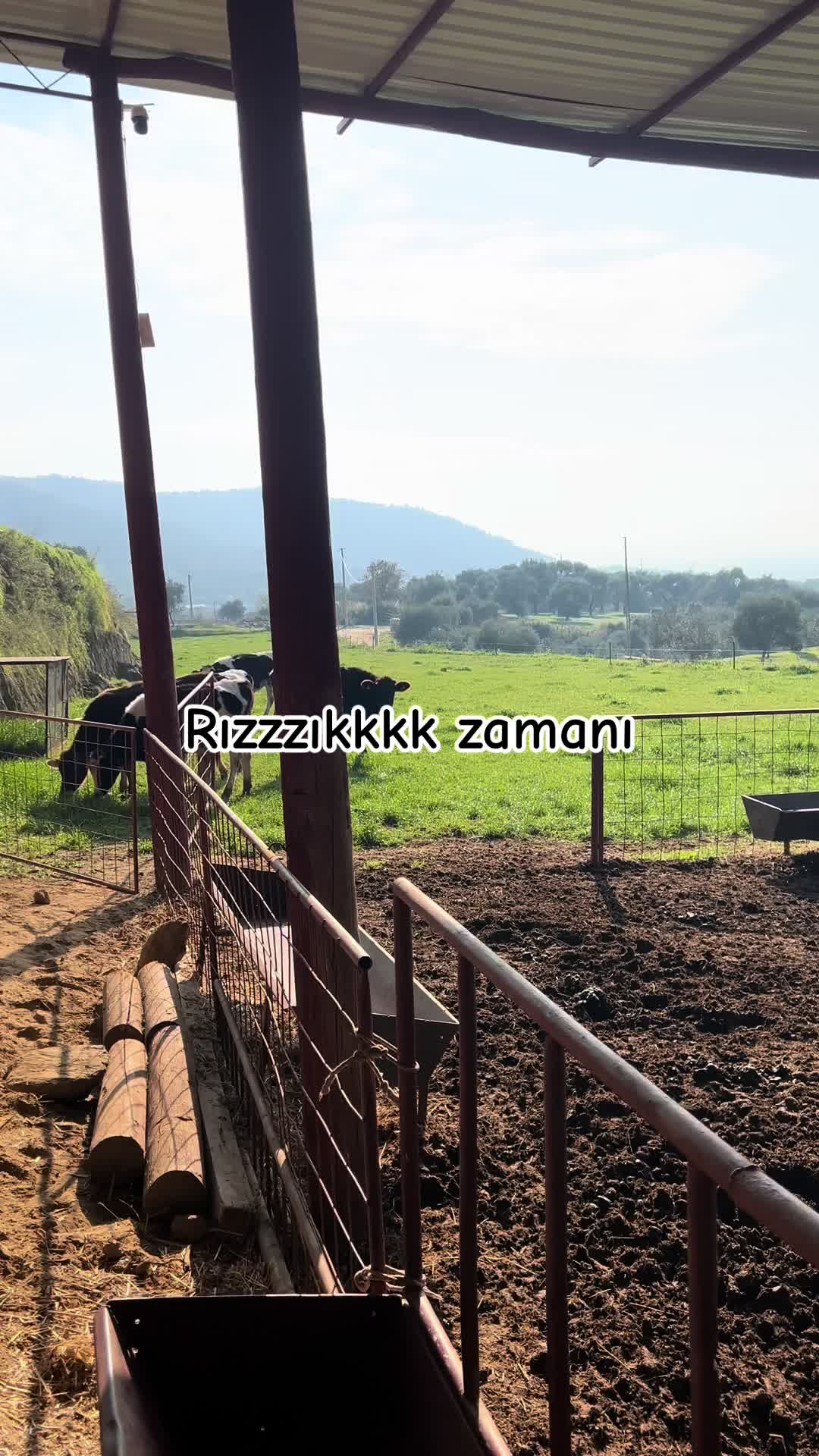@Töre