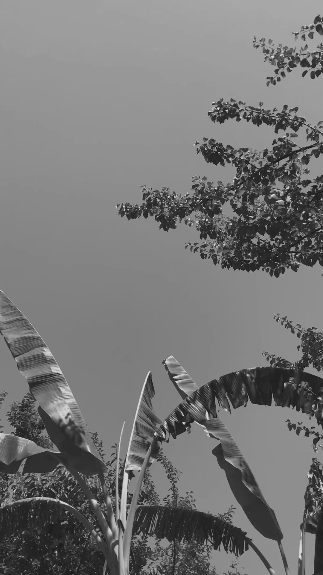 @𝟹𝚊𝚖_𝚝𝚑𝚘𝚞𝚐𝚑𝚝𝚜