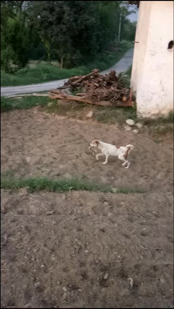 @😘काजल 🌸ठाकुर😘