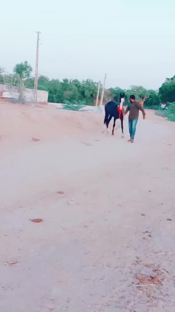 @Ruturaj Sinh Vaghela