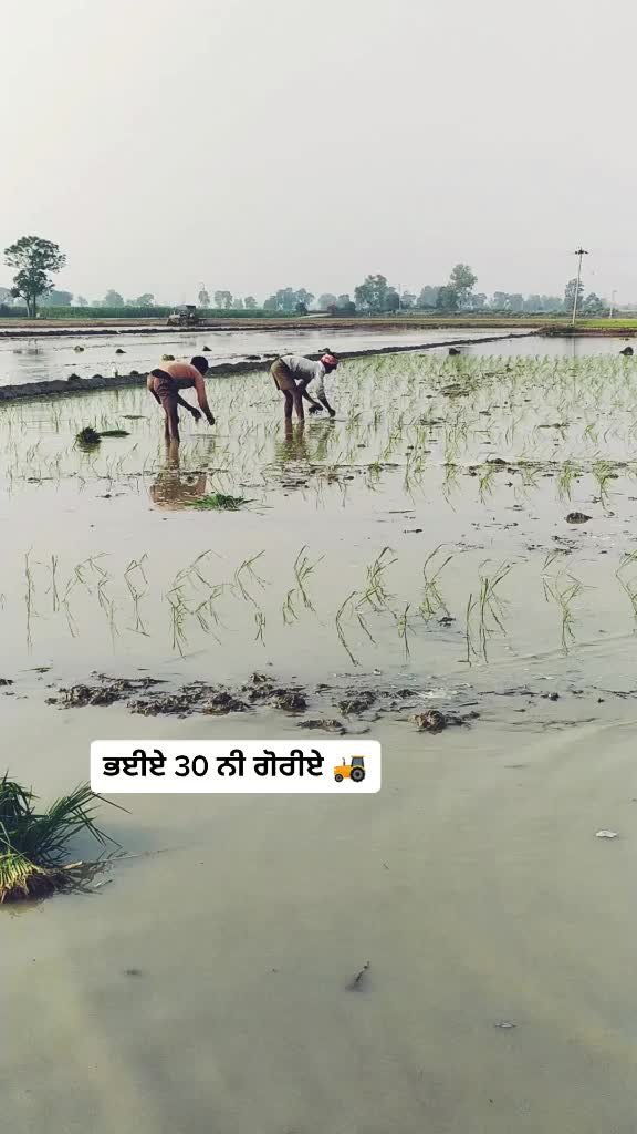 @madahar002