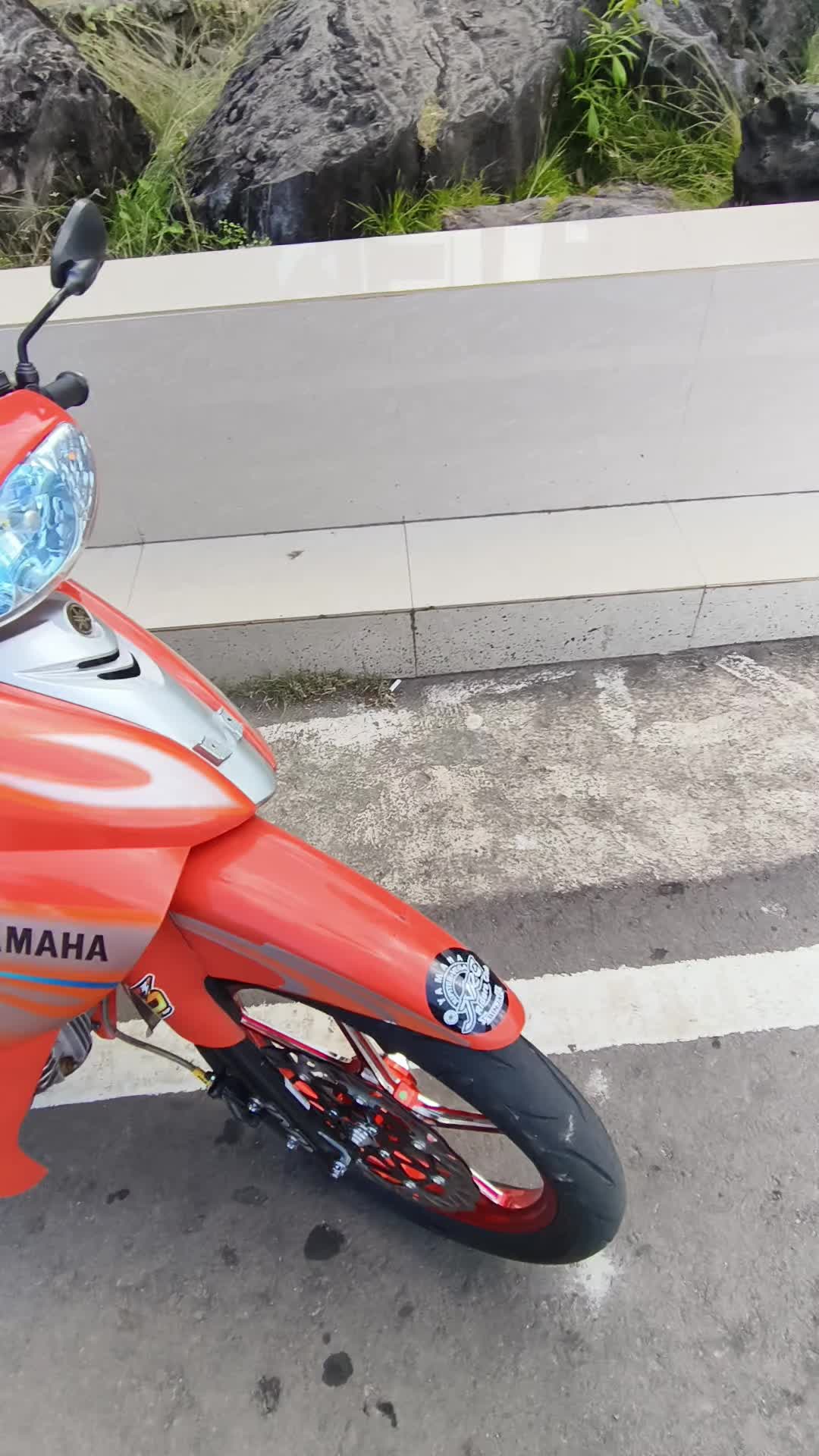 @D'🍊
