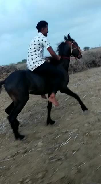 @Sumaiya Bhagvanji