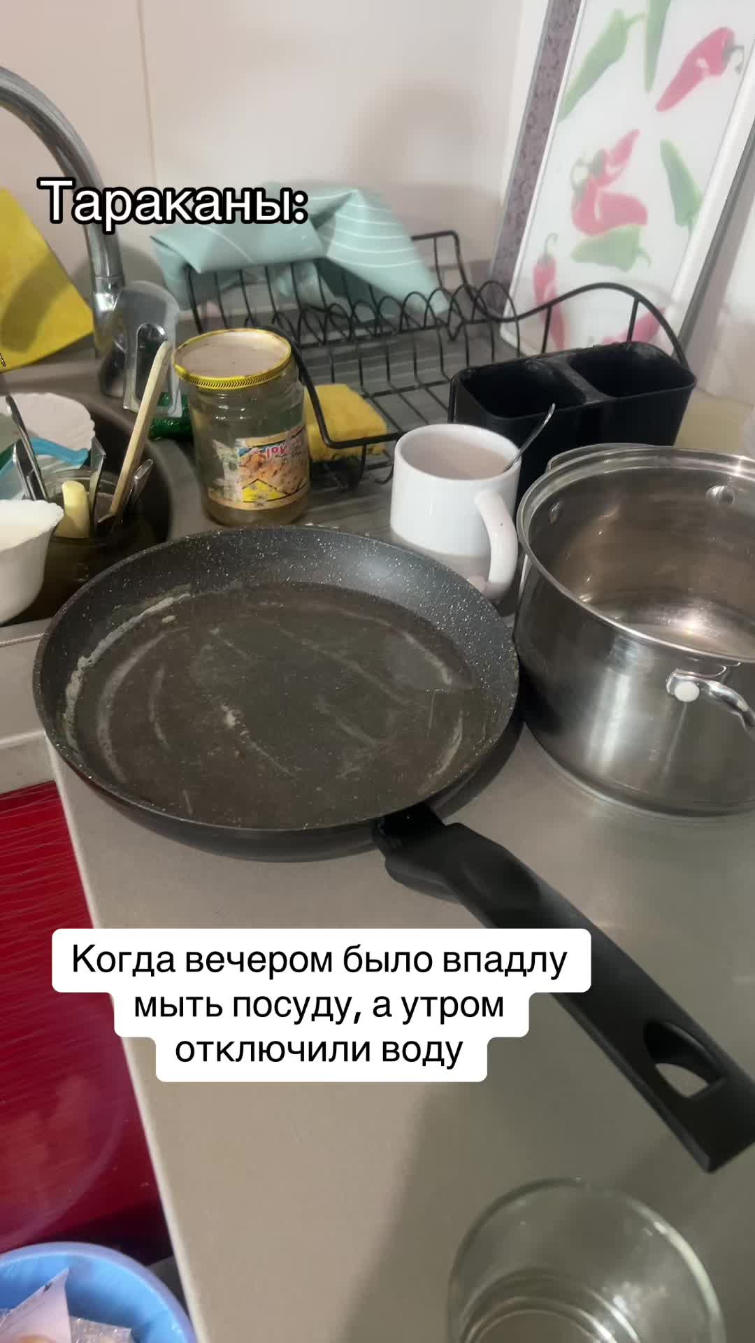 @Margarita Panchenko