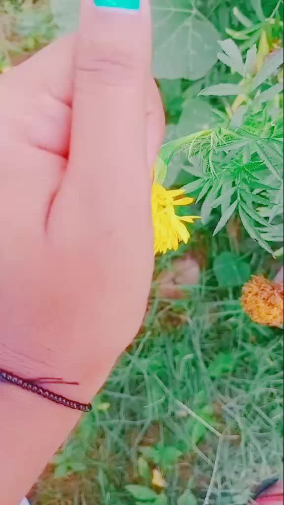 @kanasu