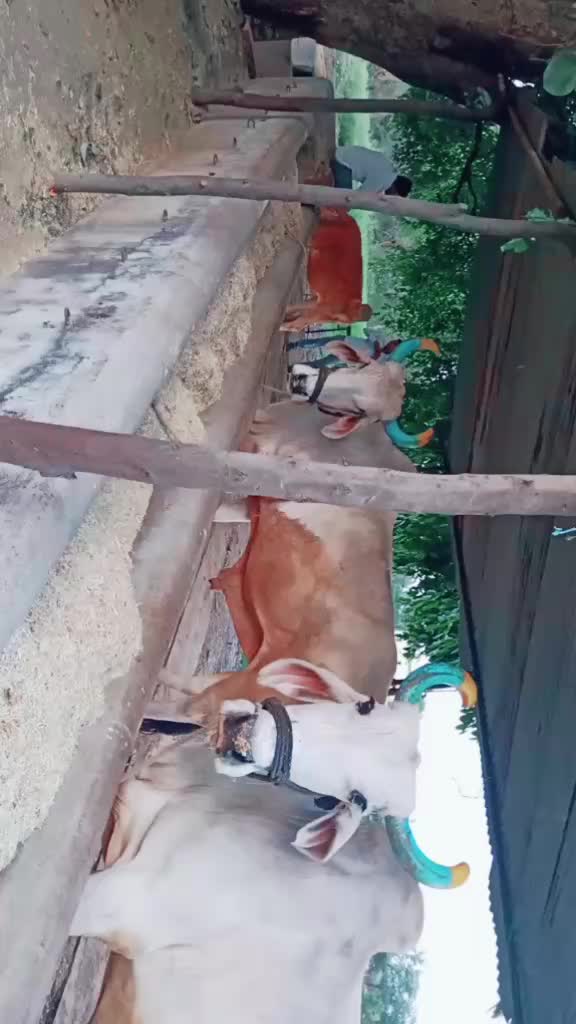 @yash143