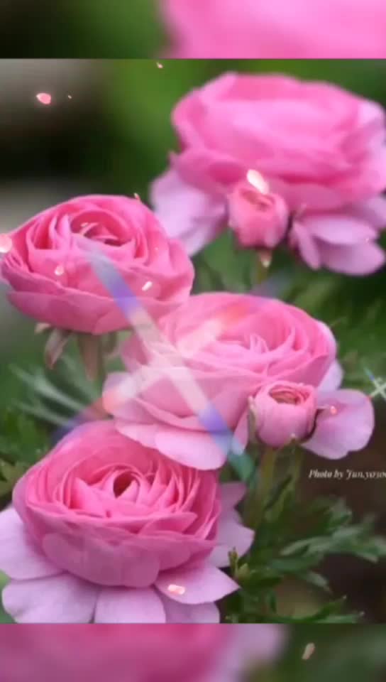 @Farhan62