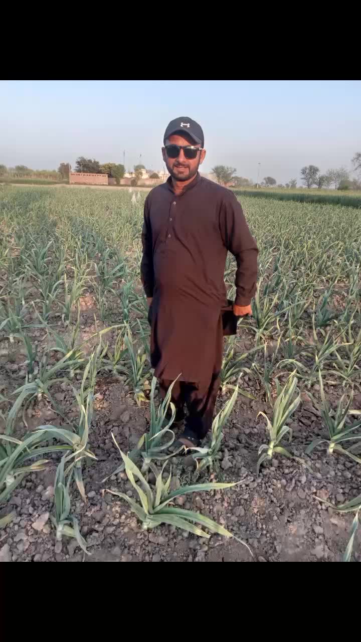 @Mian Ghulam Anwar Watto