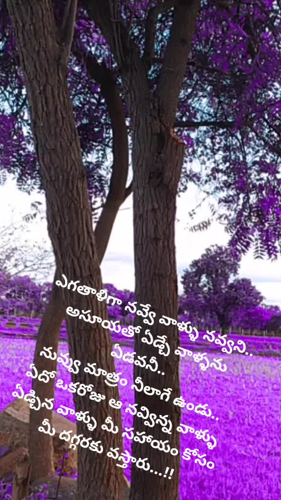 @ANJI
