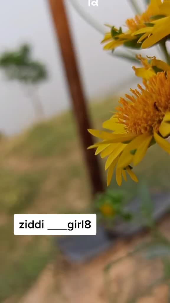 @❤️Jyoti❤️