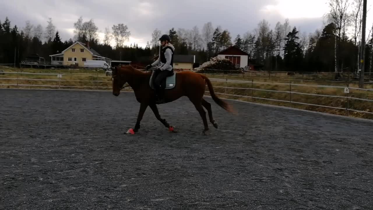 @Horses♡