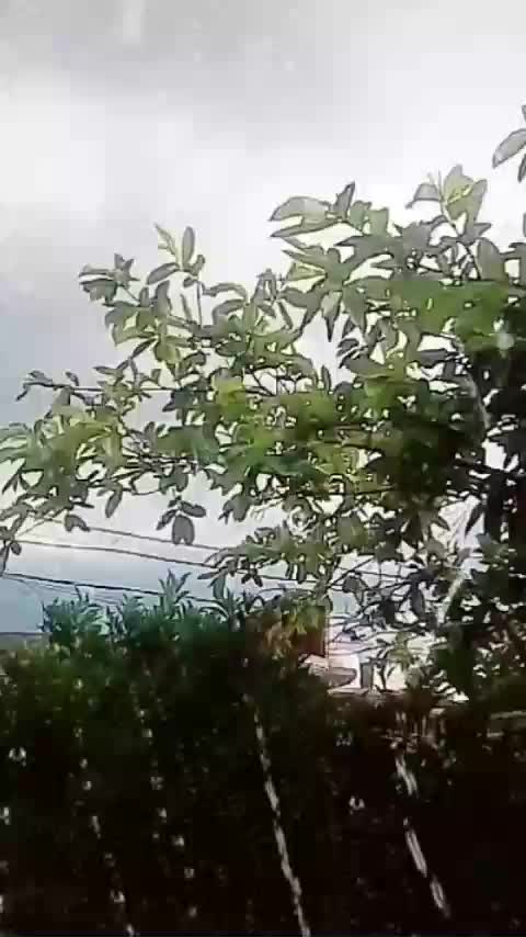 @pindo Bhar Mitra Da Dera