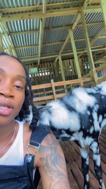 @Da Goat Goddess ✨