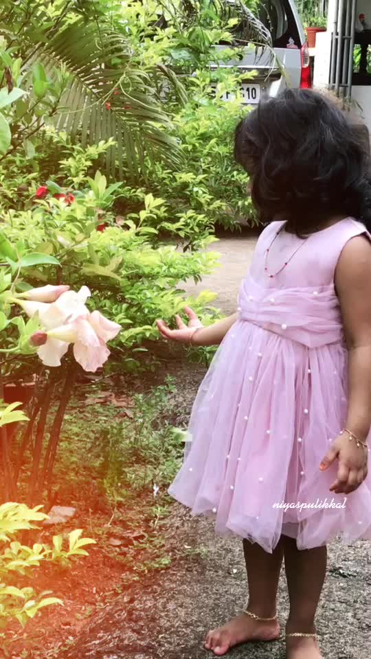 @NIYAS PULIKKAL