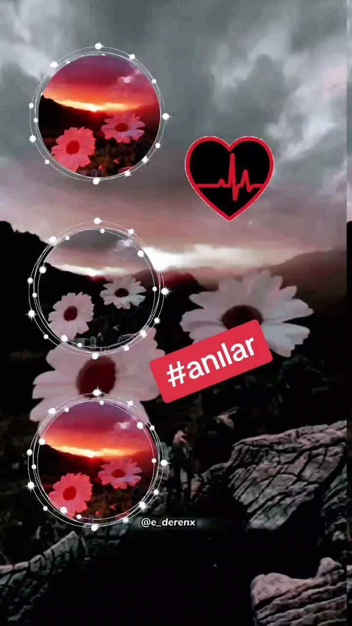 @Kader🌼🌹🍁🌷
