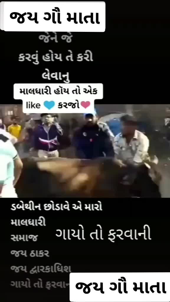 @ગાય નું ગોવાડ