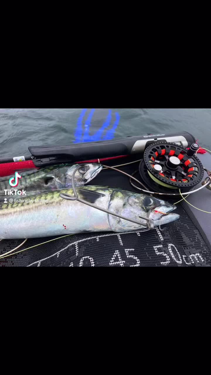 @FishingBySalling - Anders
