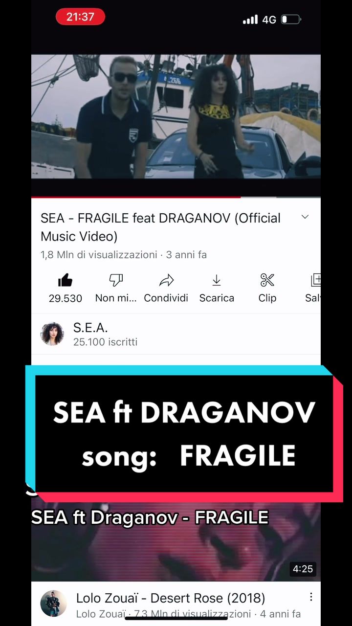 @SEA🇲🇦🇮🇹