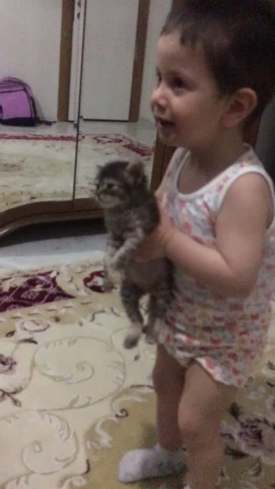 @ŞİRİN 🐈🐈