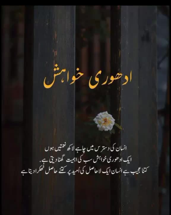 @Falak Rajpoot🖤