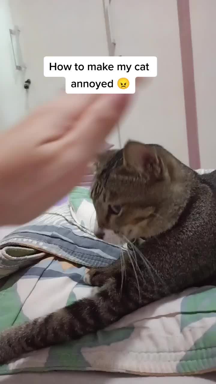 @Keluarga Manja R