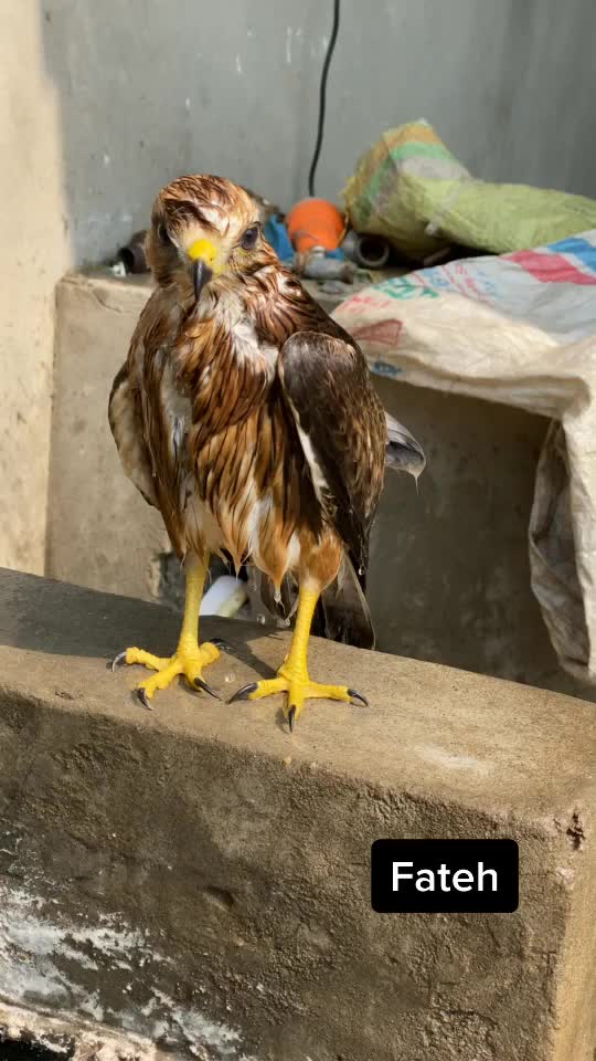 @ਅਰੂਨਵੀਰ ਛਿੰਜਰ