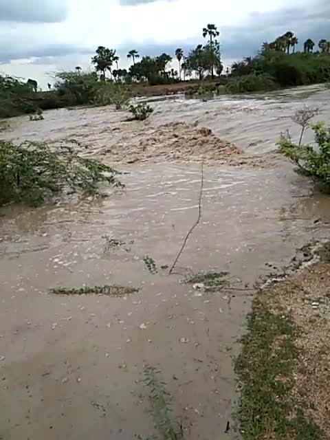 @Koppula Ramana
