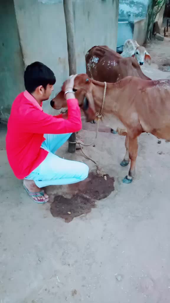 @Siku_Jogi_😎