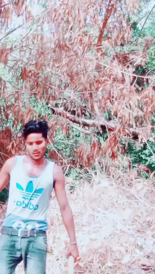@kamal90059