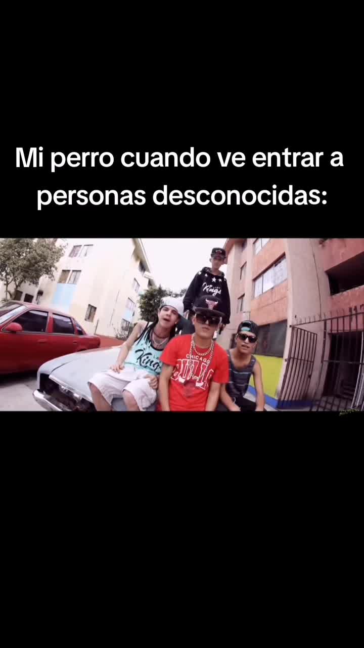 @quesidogo44