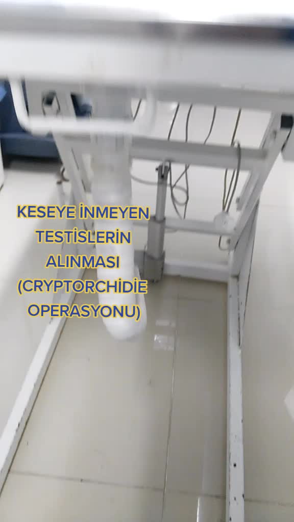 @Eko