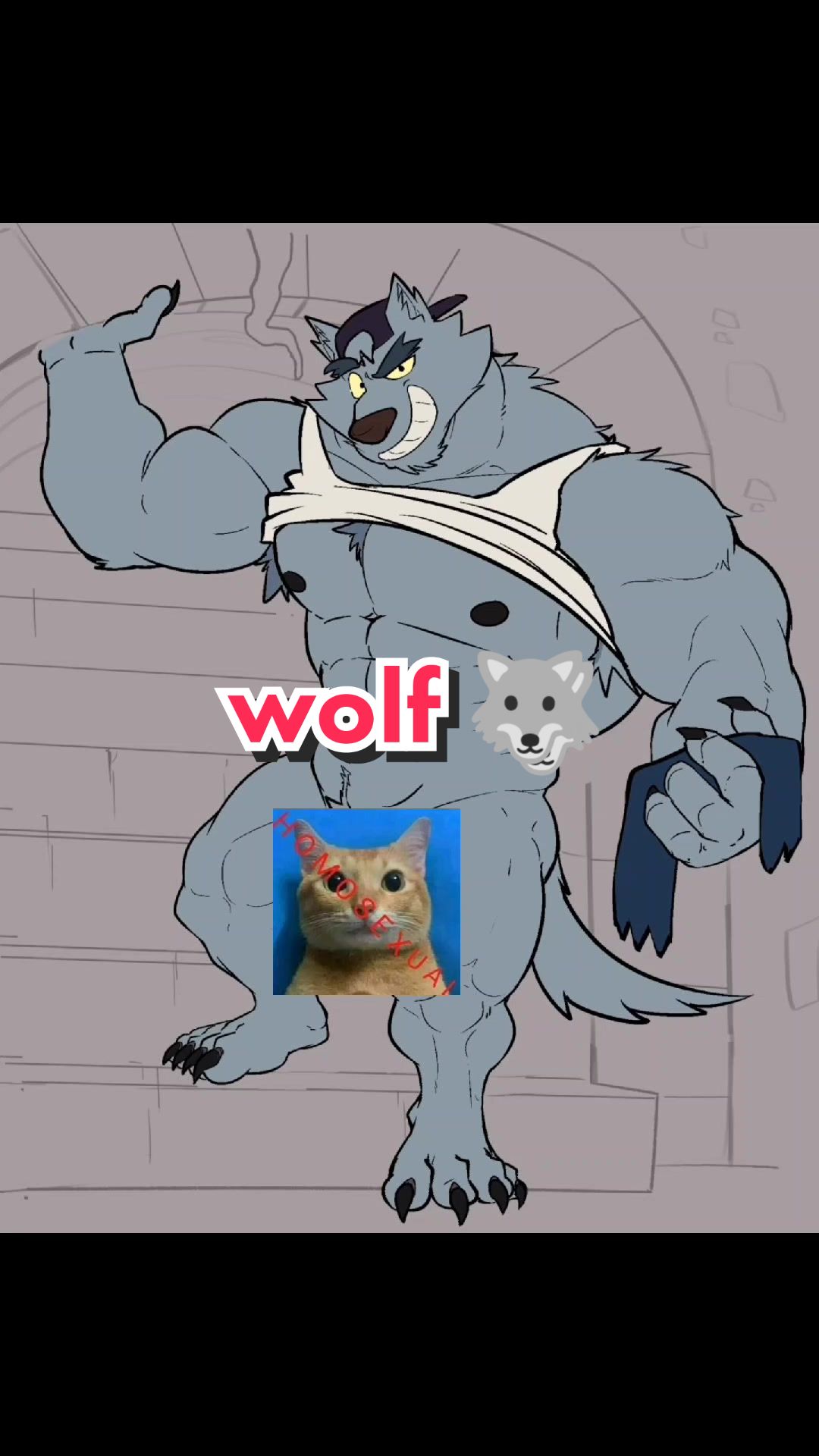 @Joelbearb