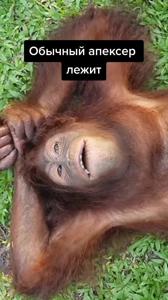 @Не снимаю уже 😔