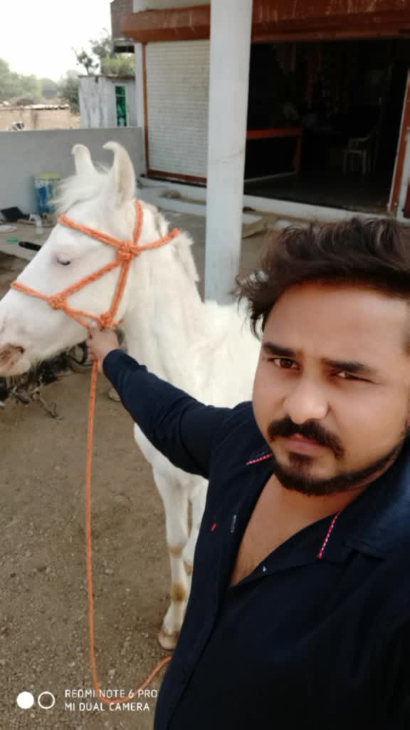 @Shubham Chouhan