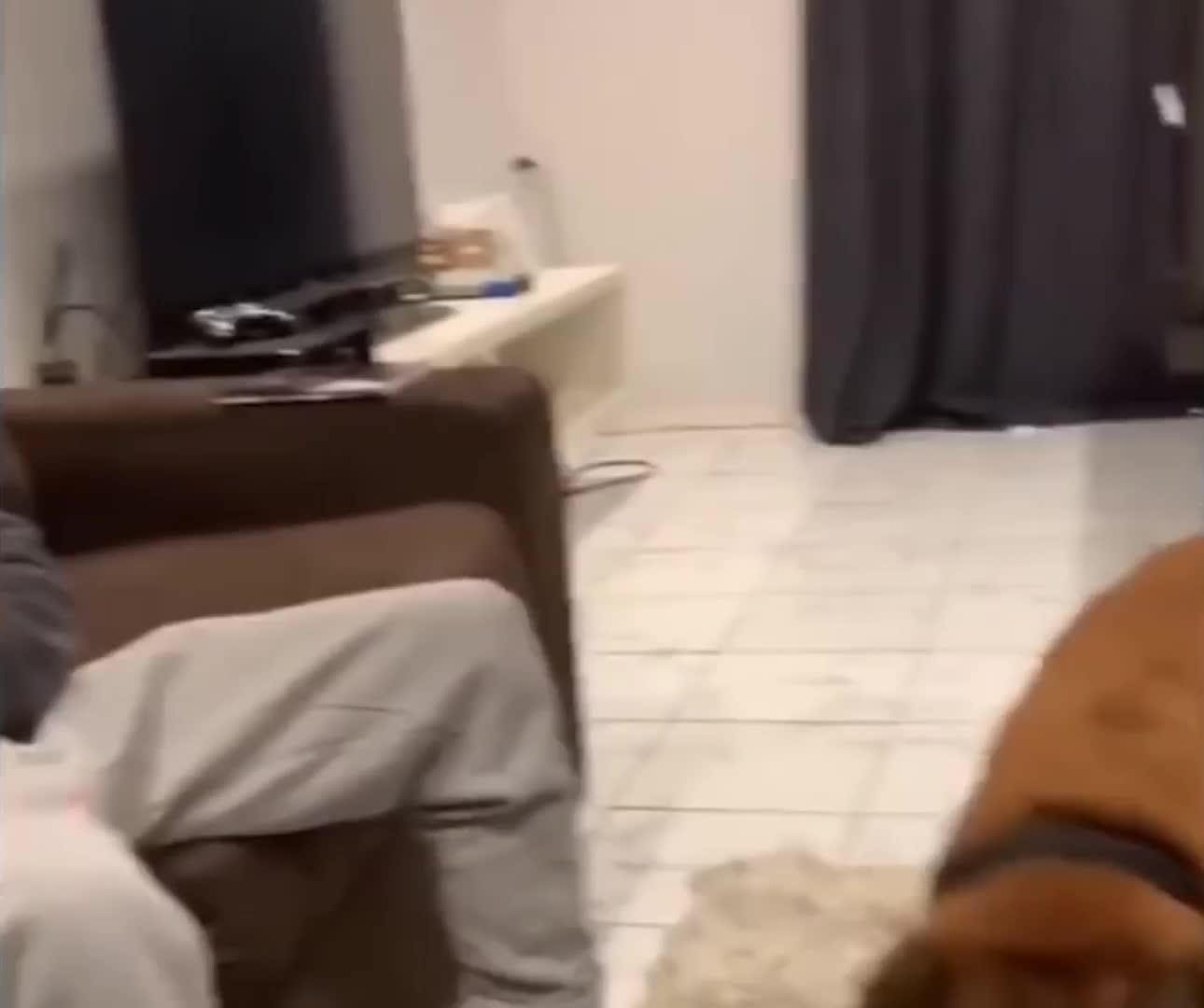 @Derpyoso
