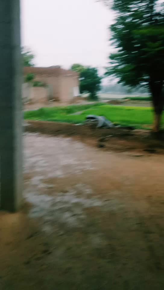 @Ashok Rai 786