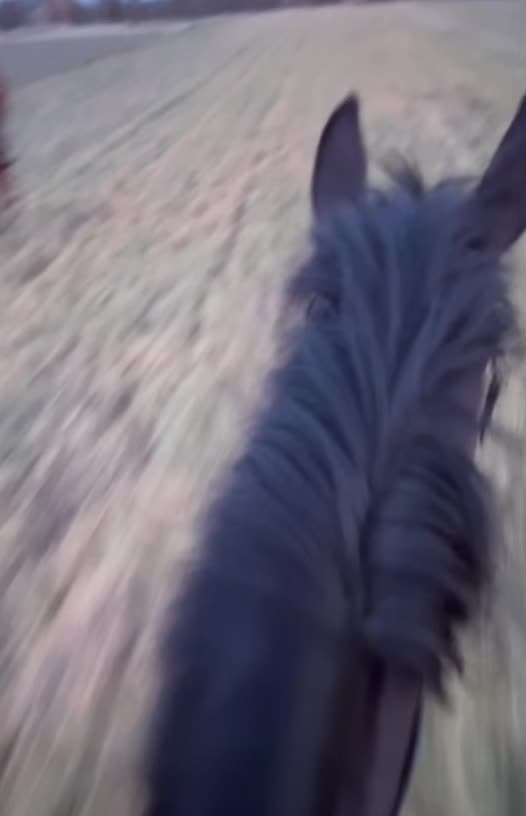 @W🦄