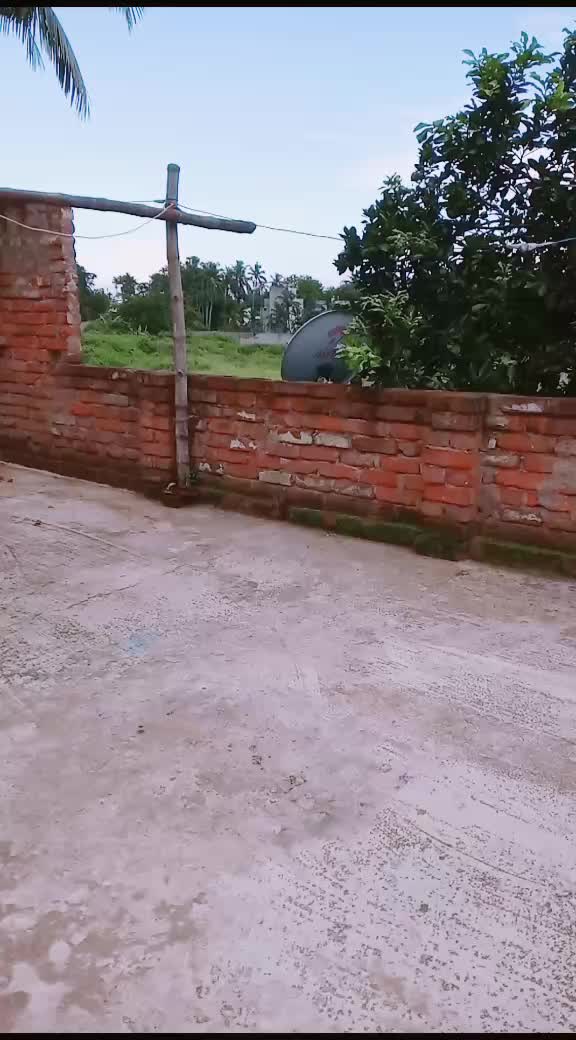 @mou_sikder_sonai08