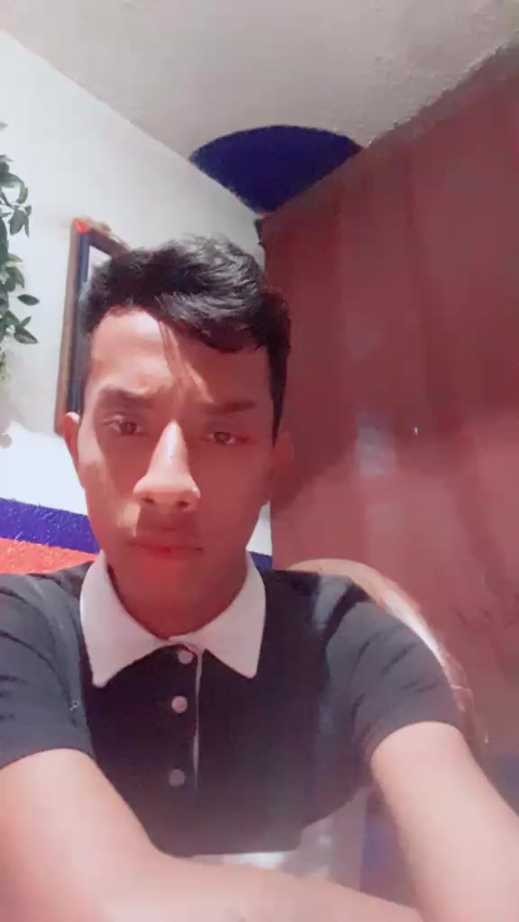 @chematellez52