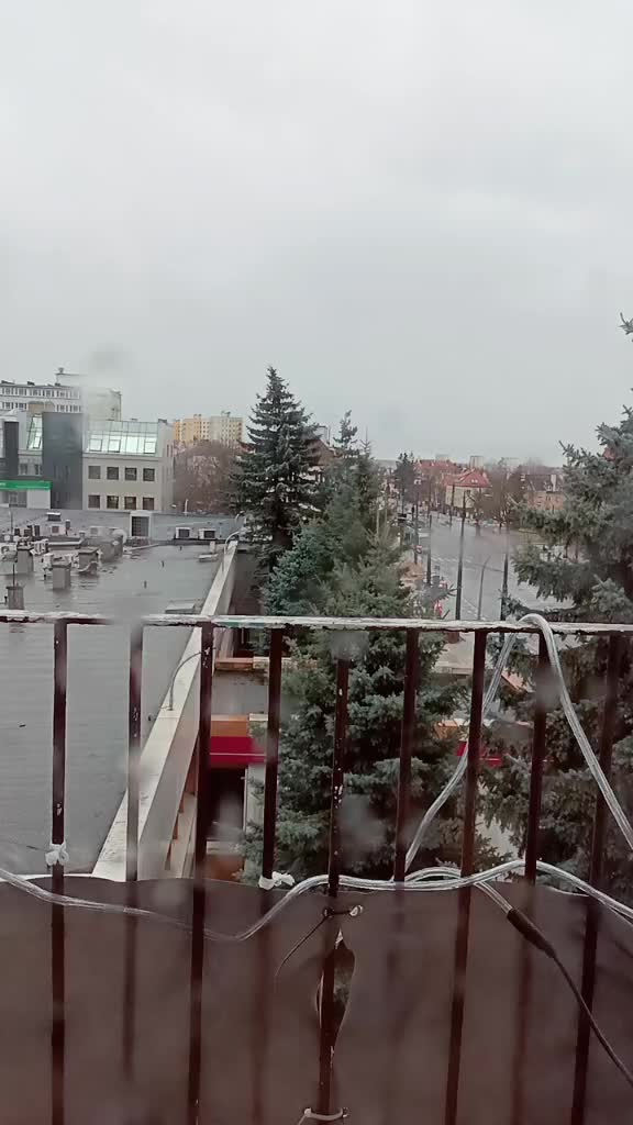 @81_kubuss