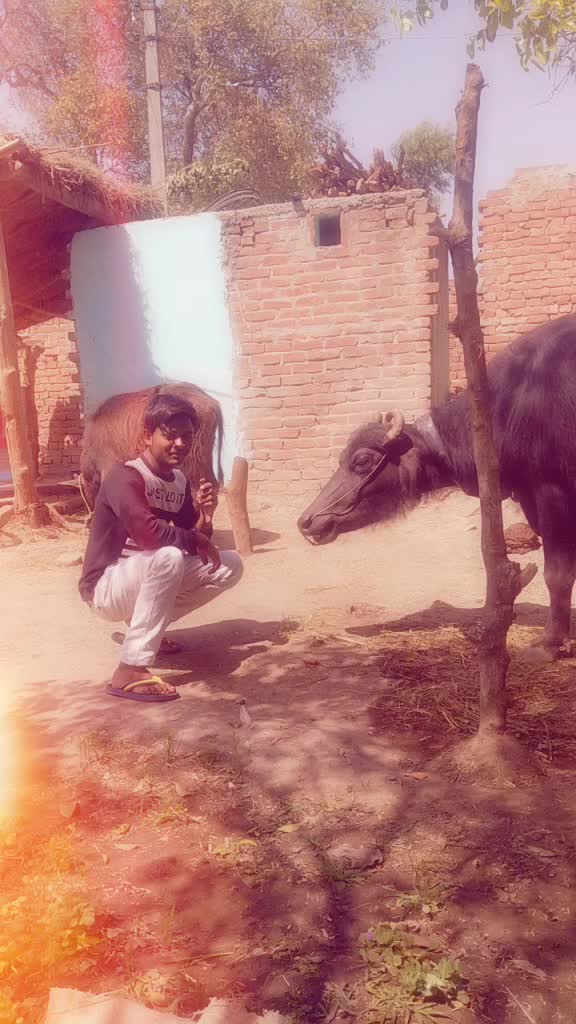 @Sumit Saxena