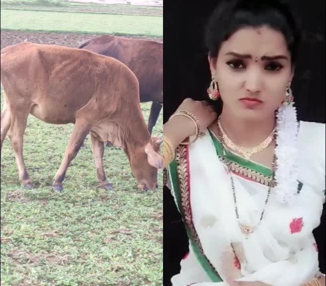@Vankala Anil Anil