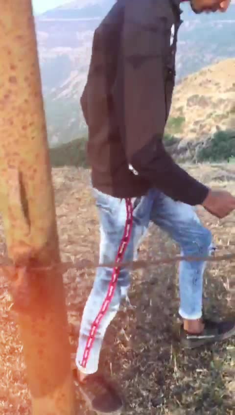 @Alfais__shk__