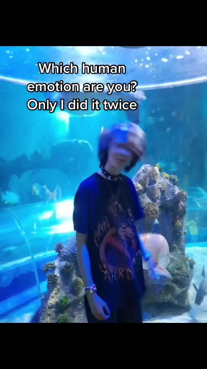 @ollythetree